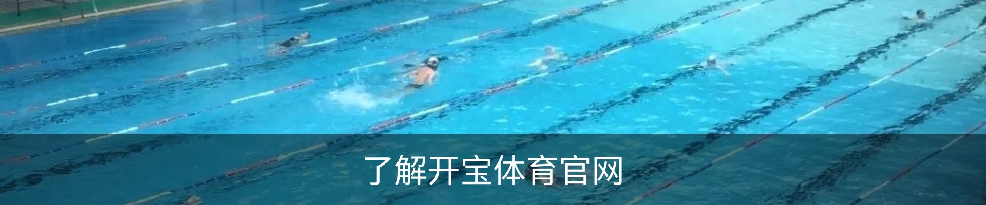 了解开宝体育官网